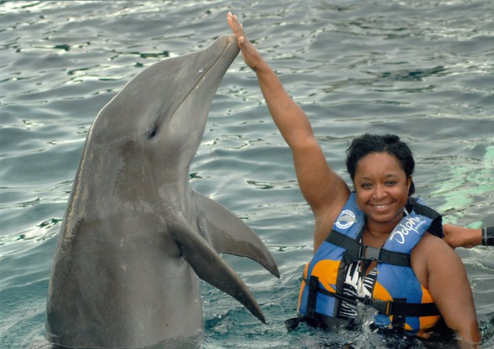 Swimming with Dolphins
