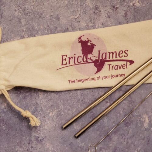 Reusable Metal Straw Kit