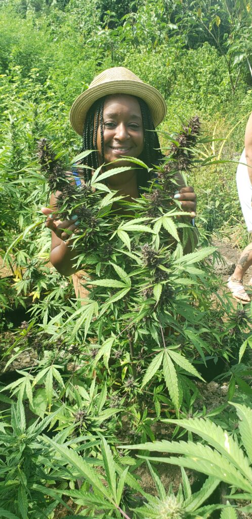 Blue Hole Springs Jamaica