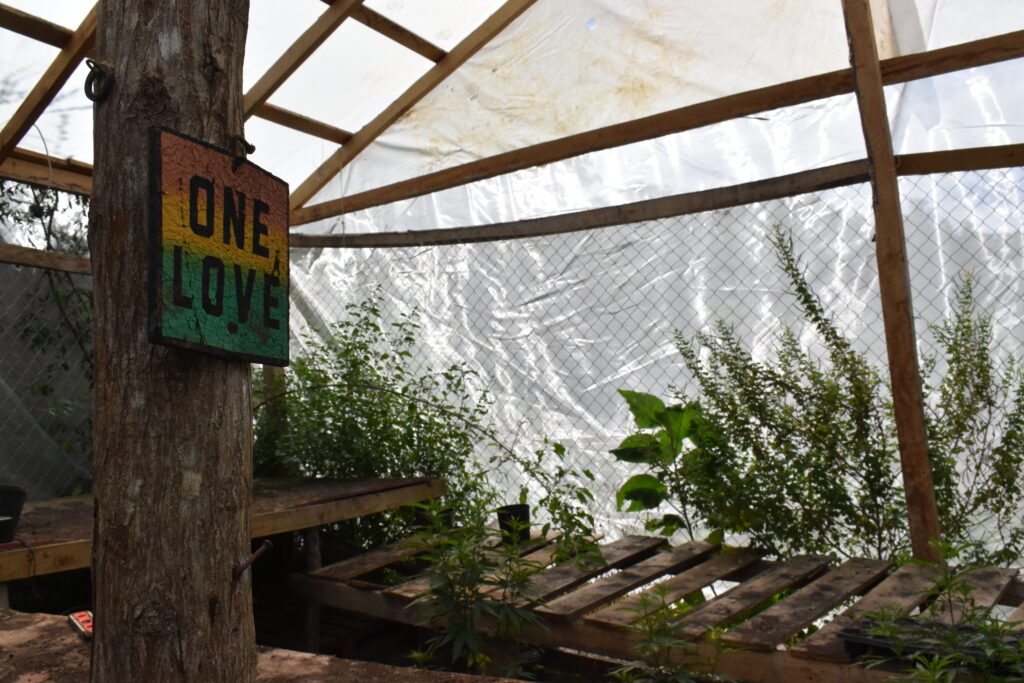 Blue Hole Springs Jamaica